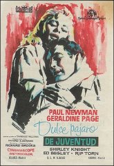 Sweet Bird of Youth Paul Newman Geraldine Page