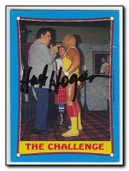 Hogan Hulk wrestler