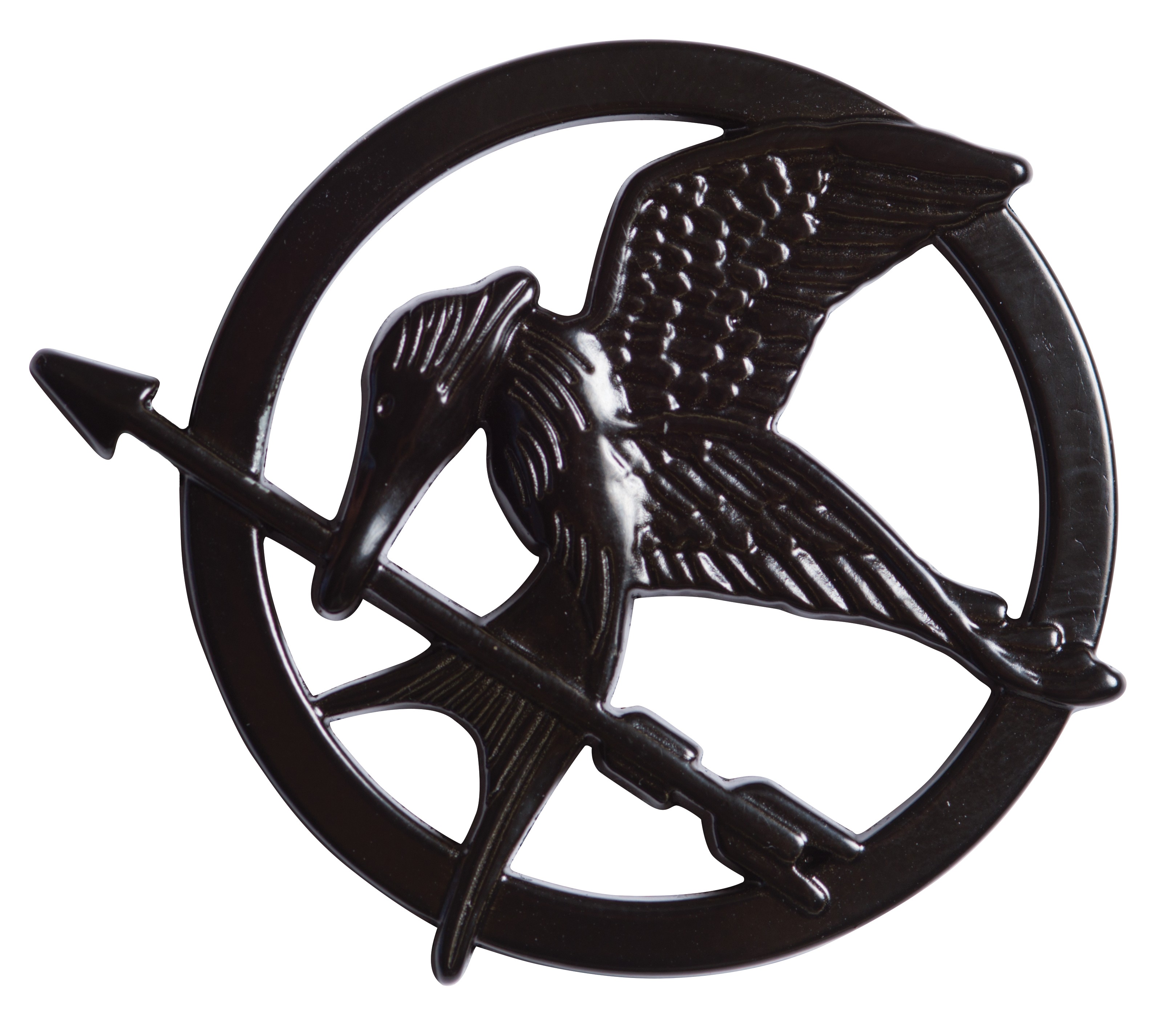 Hunger Games Mockingjay PIN - Click Image to Close