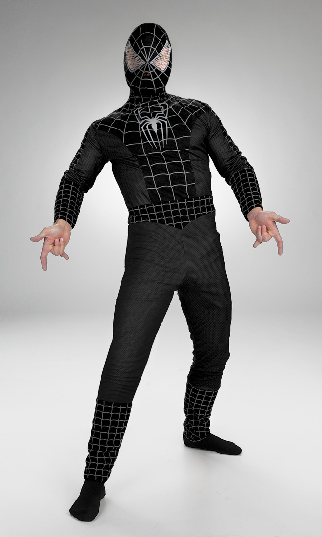 Adult Spider-Man Costume - Click Image to Close