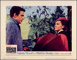 Splender in the Grass Natalie Wood Warren Beatty