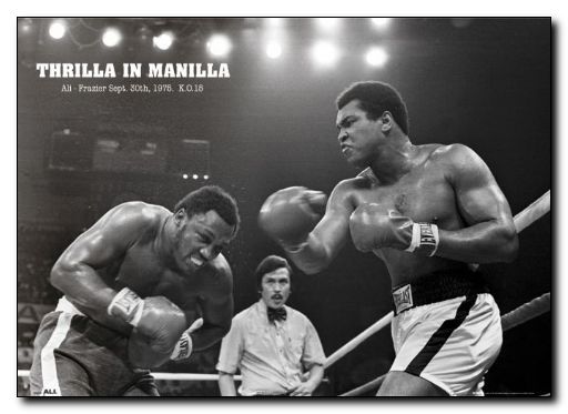 Ali Thrilla - Click Image to Close