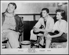 Thunder Road Robert Mitchum 1958