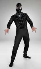 Adult Spider-Man Costume
