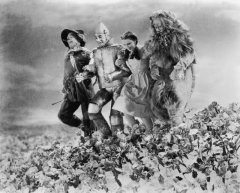 WIZARD OF OZ 8 x 10 photo