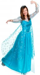 Frozen Elsa Style Ice Queen Adult Deluxe Costume