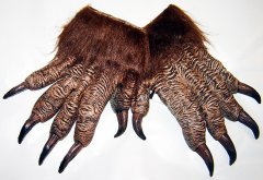 Wolfman Latex Hands