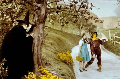 WIZARD OF OZ 8 x 10 photo