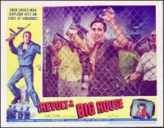 REVOLT IN THE BIG HOUSE GENE EVANS ROBERT BLAKE TIMOTHY CAREY