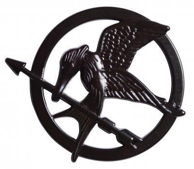 Hunger Games Mockingjay PIN