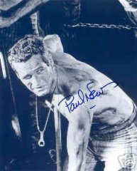 Newman Paul Cool Hand Luke