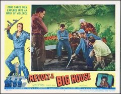 REVOLT IN THE BIG HOUSE GENE EVANS ROBERT BLAKE TIMOTHY CAREY