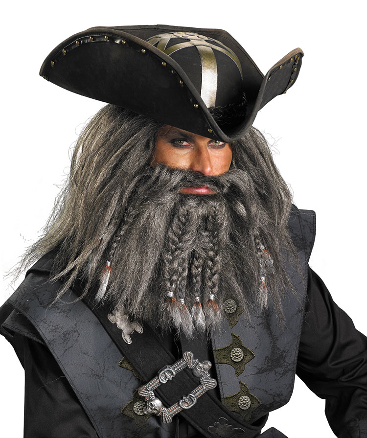 Disney Pirates of the Caribbean Blackbeard Facial Hair Kit - Click Image to Close