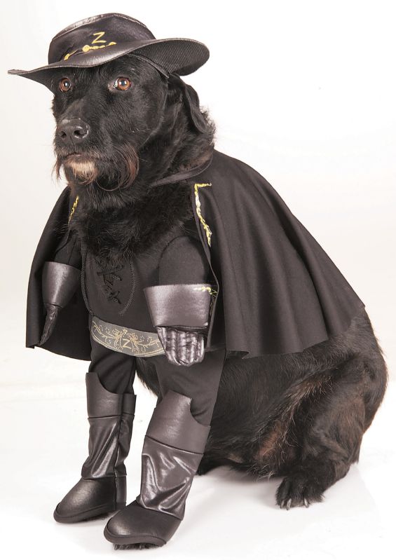 Zorro™ Pet Costume S,M,L,XL - Click Image to Close