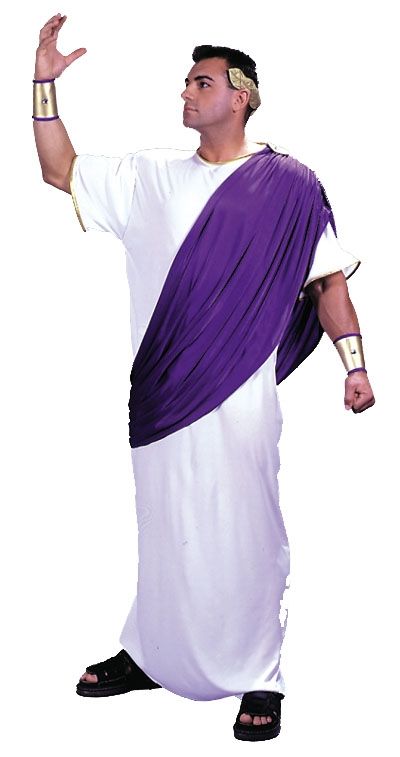Julias Caesar Costume XL size - Click Image to Close