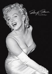 Marilyn Monroe - Loved - Click Image to Close