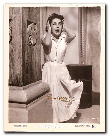 Taylor Elizabeth Vintage still signed - Click Image to Close