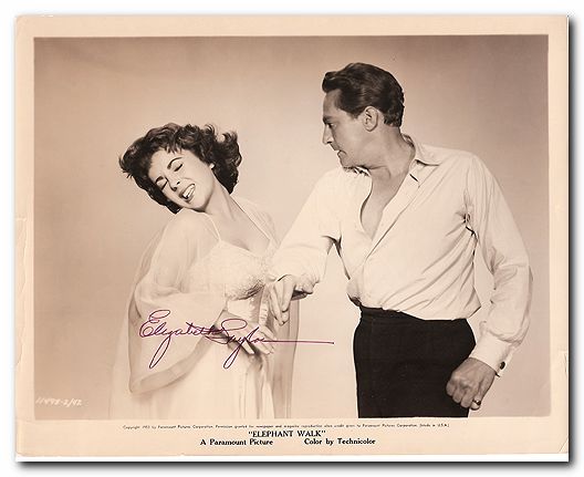 Taylor Elizabeth Vintage still signed - Click Image to Close