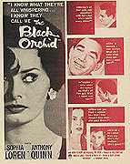 BLACK ORCHID Sophia Loren, Anthony Quinn