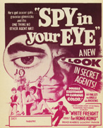 SPY IN YOUR EYE Brett Hasley - Click Image to Close