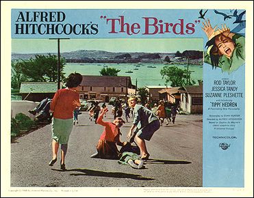 Birds Rod Taylor Tippi Hedren Hitchcock