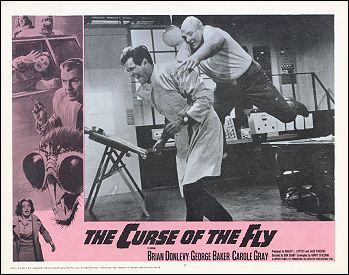Curse of the Fly 1965 # 8 - Click Image to Close